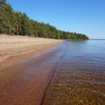 Huuhanranta koira juoksee hiekkarannalla